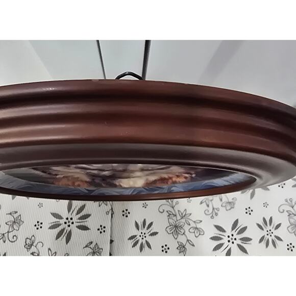 Vintage 1995 Bradford Exchange Mystic Spirit “Silent Encounter”Wolf Plate Framed - Picture 13 of 16